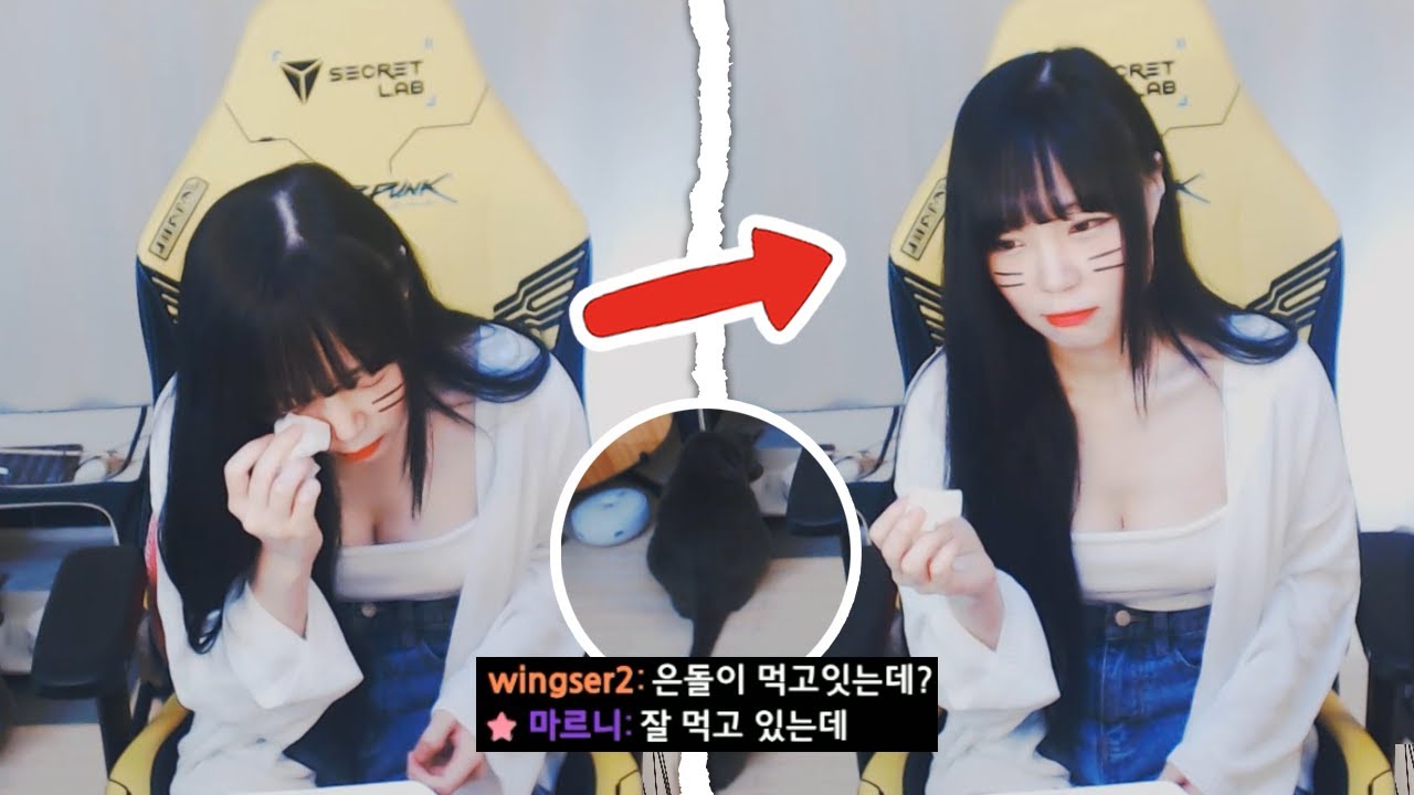 눈물을 닦으며) 은돌이가 굶고있어요 - Youtube 눈물을 닦으며) 은돌이가 굶고있어요 - Youtube