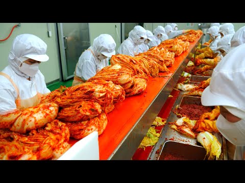 “우린 국내산만 써요” 배우 김수미가 운영하는 김치 공장 / Amazing and Clean Korean Kimchi Factory / korean street food