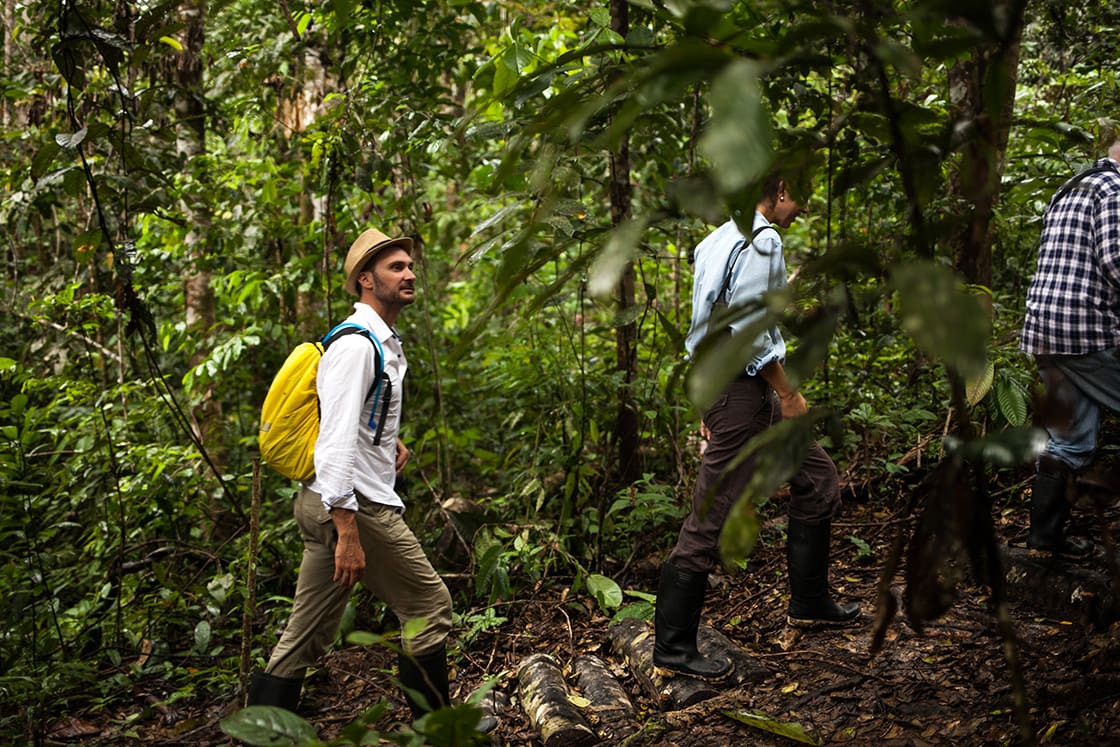 5 Best Costa Rica Rainforest Destinations