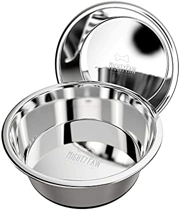 Pet Supplies : Mighty Paw Stainless Steel Dog Bowls (2 Pack) | Non-Slip  Rubber Bottom And No Spill Design. Dishwasher Safe Metal Food & Water Dish  Set For Small & Large Pet