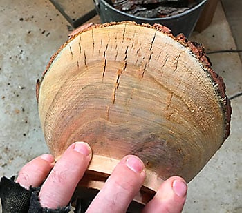 Turning Green Wood Bowls - The Process - Turn A Wood Bowl