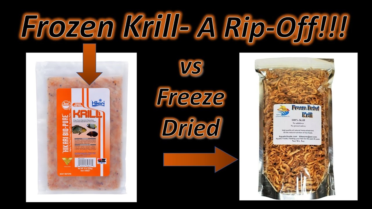 Krill- Miracle Food- But Dont Get Ripped Off With Frozen - Youtube