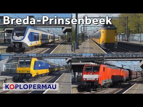 Treinen op station Breda-Prinsenbeek! // Dutch Train Compilation