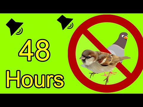 Anti Birds Repellent Sound - roep van roofvogels om duiven af ​​te schrikken - mussen - meeuw