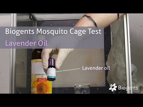 Does Lavender Oil Repel Mosquitoes? Biogents Mosquito Cage Test