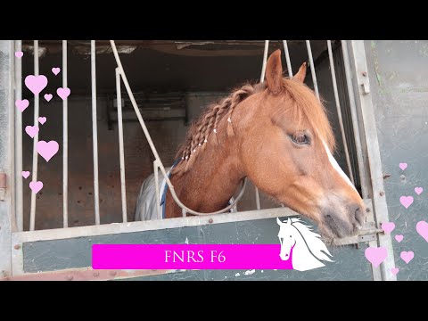 FNRS F6 Voorbereiden, Oefenen & Rijden * Hart voor Paarden *